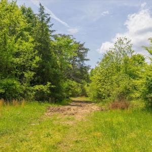 24-012-1604BonleeSchoolRd-Parcel-4625-48