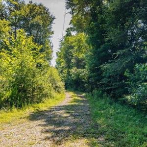 40-031-1604BonleeSchoolRd-Parcel-4625-48