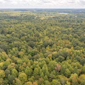 4501 Mill Creek Rd land-12
