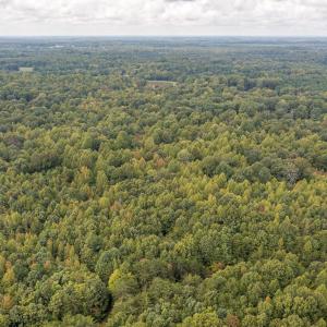 4501 Mill Creek Rd land-23