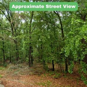 3. Street View