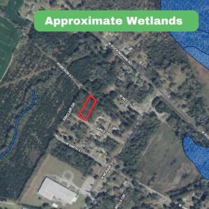 7. Wetlands