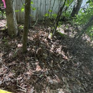 Sewer manhole distance to property line