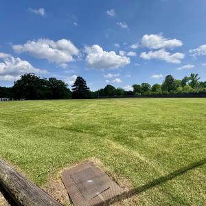 North side lot line and front yard - 182