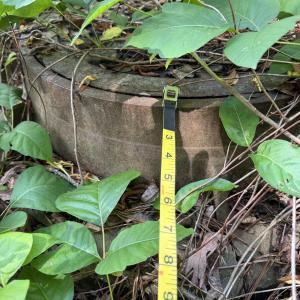 Sewer manhole showing measuring tape tou