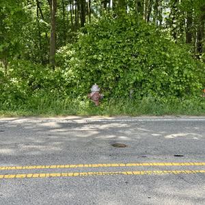 Fire Hydrant - 1821 S. Mineral Springs R