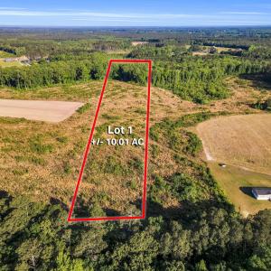 19-web-or-mls-DJI_0001-Lot 1