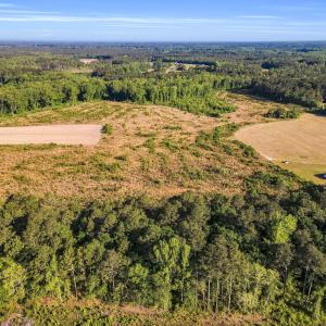 18-web-or-mls-DJI_0015