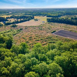 12-web-or-mls-DJI_0009