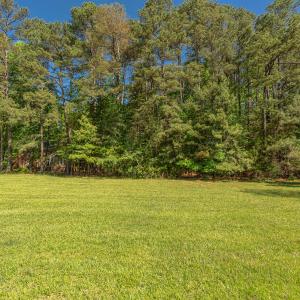 Rear Border of Homesite