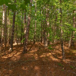 Homesite interior