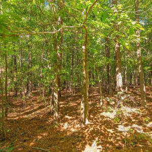 Homesite interior