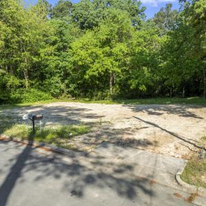 photos_high_resolution_DJI_0197