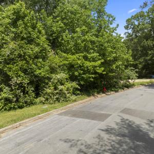 Wooded side of lot