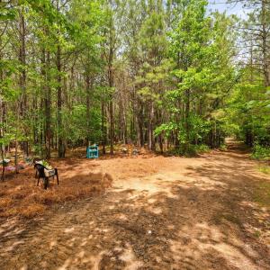 28-web-or-mls-s-plank-rd