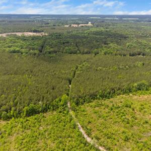 13-web-or-mls-s-plank-rd