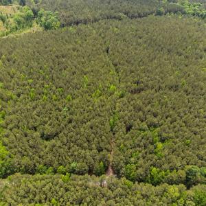 11-web-or-mls-s-plank-rd