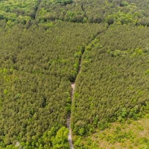 10-web-or-mls-s-plank-rd