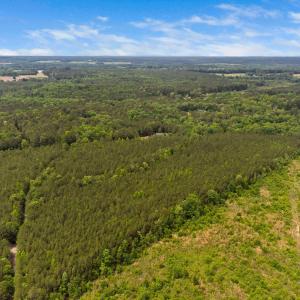 9-web-or-mls-s-plank-rd