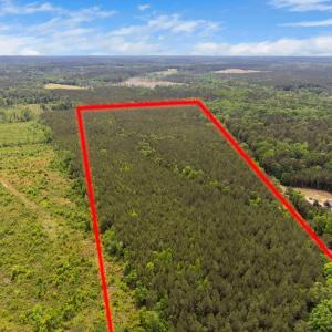 6-web-or-mls-s-plank-rd