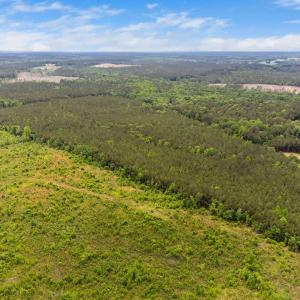 2-web-or-mls-s-plank-rd