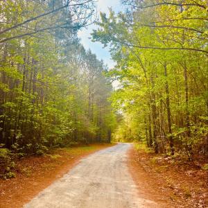 fa1c788e-84da-4c18-8b5e-66720a116f73