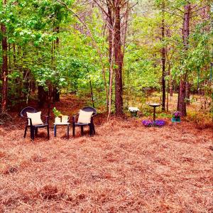 eb4f080f-2983-42b9-ad0a-fc933d7918d5