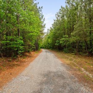 34-web-or-mls-s-plank-rd