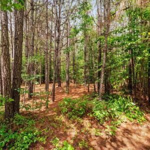 33-web-or-mls-s-plank-rd