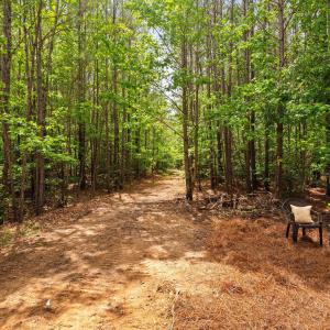 32-web-or-mls-s-plank-rd