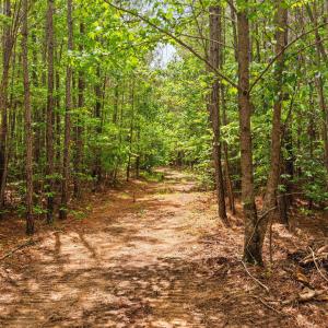 31-web-or-mls-s-plank-rd