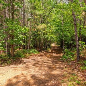 29-web-or-mls-s-plank-rd