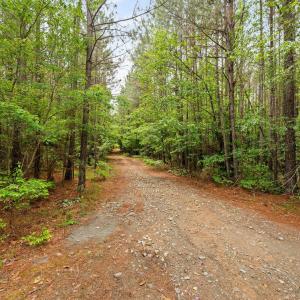 20-web-or-mls-s-plank-rd