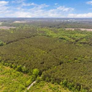 8-web-or-mls-s-plank-rd