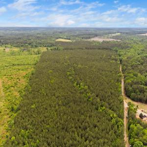 7-web-or-mls-s-plank-rd