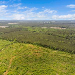 1-web-or-mls-s-plank-rd