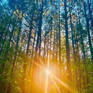 7e573b4c-179f-43d8-83db-e6ad4f105286