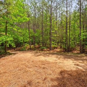 27-web-or-mls-s-plank-rd