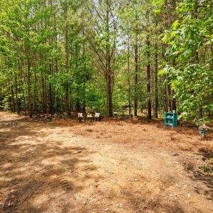 23-web-or-mls-s-plank-rd