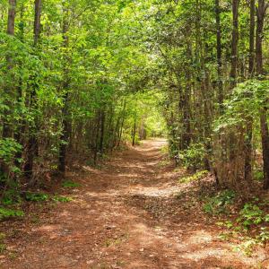 22-web-or-mls-s-plank-rd