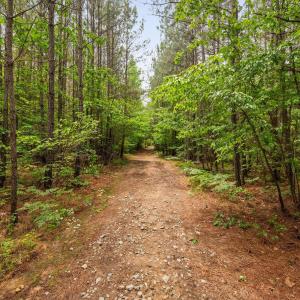 21-web-or-mls-s-plank-rd