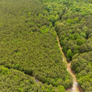 18-web-or-mls-s-plank-rd