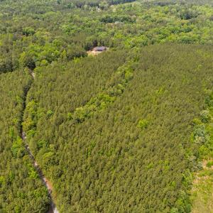 17-web-or-mls-s-plank-rd