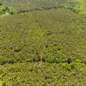 16-web-or-mls-s-plank-rd