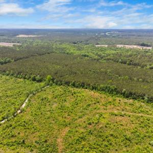 15-web-or-mls-s-plank-rd