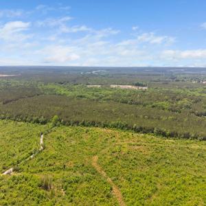 14-web-or-mls-s-plank-rd