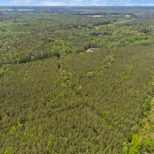 12-web-or-mls-s-plank-rd