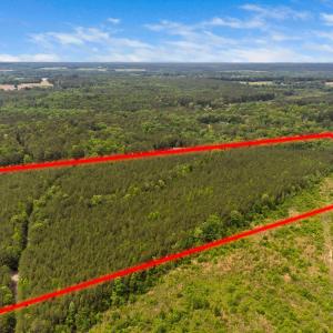 5-web-or-mls-s-plank-rd