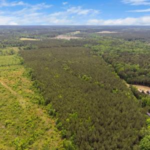 4-web-or-mls-s-plank-rd