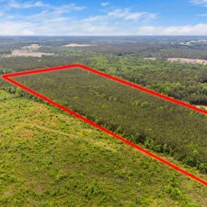 3-web-or-mls-s-plank-rd